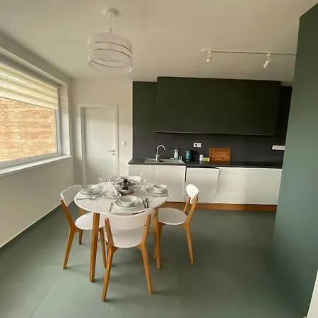 New Flat With A Mountain View, Garage Parking Apartment *