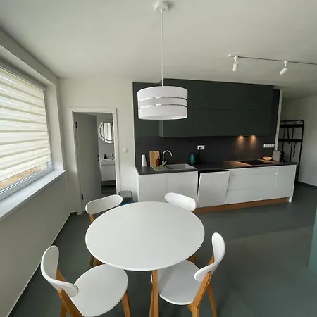 New Flat With A Mountain View, Garage Parking 公寓 班斯卡-比斯特里察